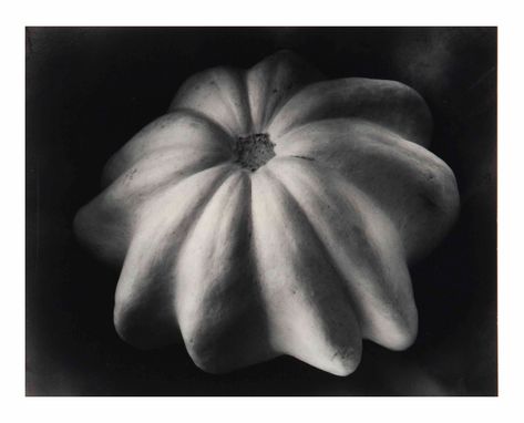 Tina Modotti, Gcse Photography, Edward Weston, Robert Doisneau, Famous Photographers, Minimalist Photography, Winter Squash, Ansel Adams, Project Inspiration