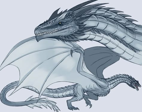 Grey Ghost Dragon Game Of Thrones, Meraxes Dragon Art, Meraxes Dragons, Grey Ghost Dragon, Tessarion Dragon, Silverwing Dragon, Wyvern Dragon, Hotd Dragons, Dragon Anatomy