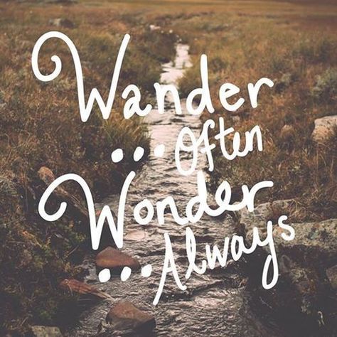 Hiking ideas & tips! Never Lose Your Sense Of Wonder, Hippie Quotes, Couple Travel, Blogging Advice, Explore Travel, Wonderful Words, Quotable Quotes, Inspiring Quotes, Pretty Words