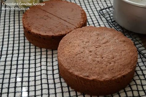 Chocolate Genoise Sponge - Funcooking Genoise Sponge Cake Recipe, Sponge Cake Recipe Best, Genoise Sponge Cake, Craving Cake, Fruit And Cream, Genoise Cake, Genoise Sponge, British Baking Show Recipes, Mini Bakery