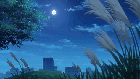 Gif Background, Scenery Background, Anime Gifs, Anime Gifts, Aesthetic Gif, Anime Scenery Wallpaper, Scenery Wallpaper, Cute Gif, Anime Background