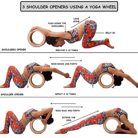 Chirp Wheel, Yoga Wheel Exercises, Dharma Yoga Wheel, Wheel Pose Yoga, Wheel Yoga, Dharma Yoga, Yoga Goals, Wheel Pose, Yoga Nature