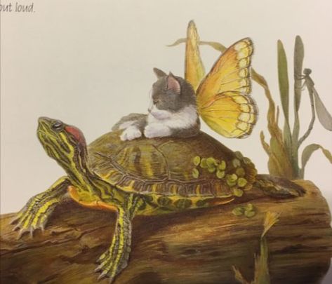 A white and grey flitten (cat with butterfly wings) rests on a turtle. Image taken from the book Mewingham Manor: Observations on a Curious New Species by Laura Von Stetina. Cat With Butterfly Wings, Cat And Turtle, Turtle Image, Cat With Butterfly, Cleveland Museum Of Art, A Turtle, Cat Person, Urban Fantasy, Secret Life