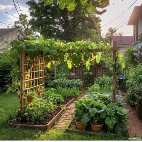 Veggie Gardens Design, Permaculture Small Garden, Backyard Winery, Potager Garden Layout, Small Garden Ideas On A Budget, Hanging Vegetable Garden, Kitchen Garden Ideas, Dream Backyard Garden, Small Vegetable Gardens