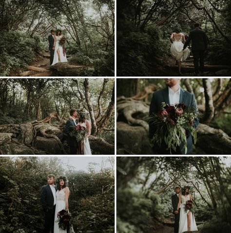 Enchanted Forest Elopement in the Mountains - A Princess Inspired Blog Enchanted Forest Elopement, Enchanted Forest Wedding Photos, Enchanted Forest Engagement Photos, Themed Engagement Photos, Forest Engagement Photos, Enchanted Forest Theme, Forest Engagement, Forest Style, Enchanted Forest Wedding