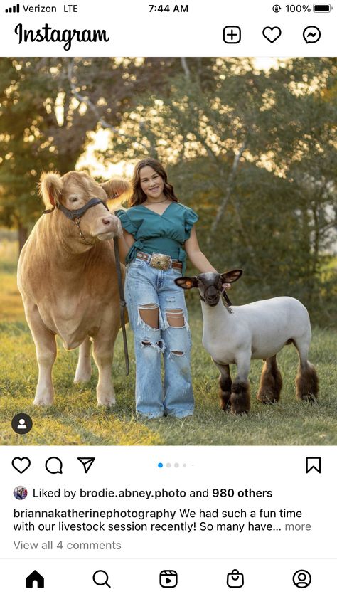 Livestock Photographer Aesthetic, Showing Cattle Outfits, Steer Senior Pictures, Livestock Pictures Senior Pics, Show Lamb Photoshoot, 4h Senior Picture Ideas, Show Day Hairstyles Livestock, Cattle Photoshoot, Senior Pictures With Animals