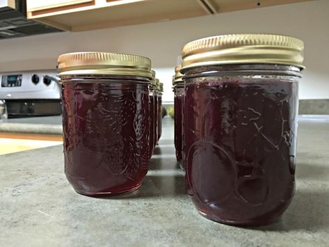 How to Make Muscadine Jelly - Our Alabama Life Easy Muscadine Jelly Recipe, Muscadine Jelly Recipe, Muscadine Recipe, Muscadine Jelly, Muscadine Wine, Canning Jam Recipes, Blueberry Jam Recipe, Grape Jam, Canned Fruits