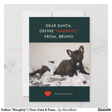 Define "Naughty" | Your Cute & Funny Dog Photo Holiday Card Holiday photo card for dog lovers! The text says "Dear Santa, Define "NAUGHTY" From XX (your dog's name)." Replace the picture with your favorite naughty puppy moment picture. Guaranteed to be a cute and heartwarming card that will make your family and friends laugh and say "Awww." The back of the card is a dark green and white plaid pattern. Modern and chic design. Funny Holiday Photo Cards, Funny Holiday Photos, Funny Holiday Card, Funny Holiday Cards, Photo Funny, Funny Dog Photos, Funny Animal Photos, Modern Pet, Funny Holiday