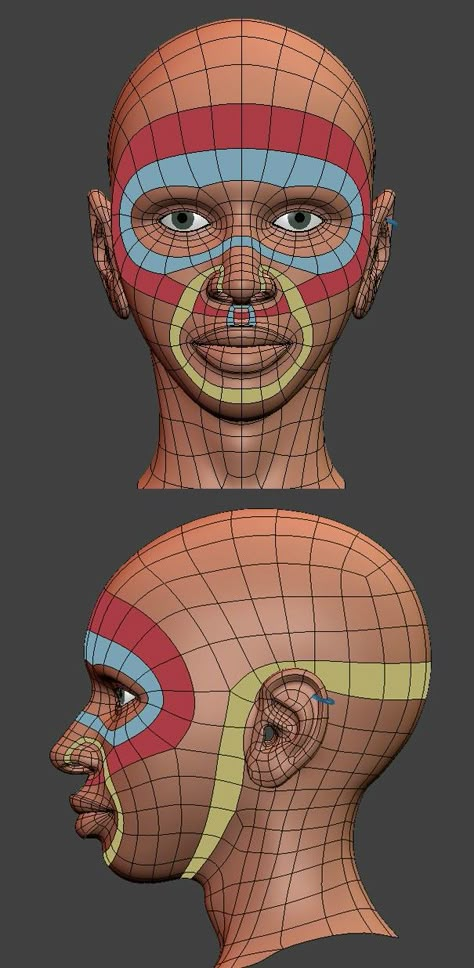 Female Character (A walk through in the whole process) Finished! #cg #3d #topology Face Topology, Maya Modeling, 3d Anatomy, 3d Karakter, 3d Modeling Tutorial, 3d Modelle, 3d Drawings, 3d Modelling, Anatomy Reference