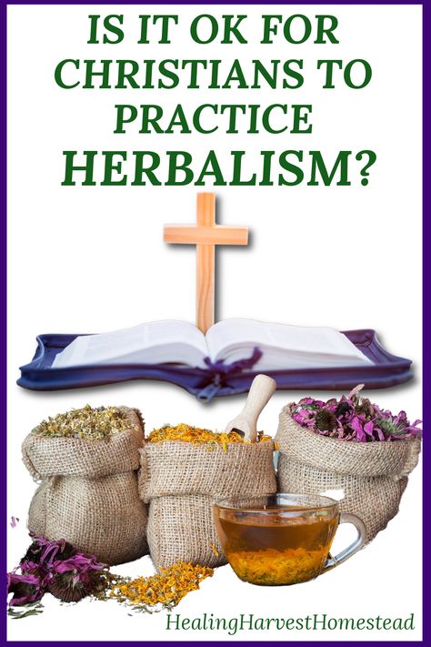 Healing Harvest Homestead, Christian Apothecary, Christian Herbalist, Biblical Herbalism, Herbalism Quotes, Bible Food, Herbal Academy, Herbs List, Herbal Education