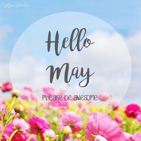 Monthly Celebration, No Vember, Cover Quotes, Spring Months, Romantic Words, Happy May, Hello May, Month Flowers, New Month