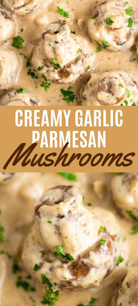 Garlic Mushrooms Recipes, Mushroom Side Dishes, Mushroom Recipes Healthy, Creamy Garlic Mushrooms, Mushroom Cream Sauces, Garlic Cream Sauce, Mushroom Dish, Creamy Garlic Sauce, Garlic Mushrooms