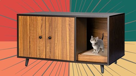 Discreet end tables, ottomans and shelves that hide litter boxes and actually look like furniture. Hidden Litter Boxes, Niche Chat, Cat Litter Box Enclosure, Litter Box Furniture, House Guests, Litter Box Enclosure, Cat Litter Box Furniture, House Cat, Pet House