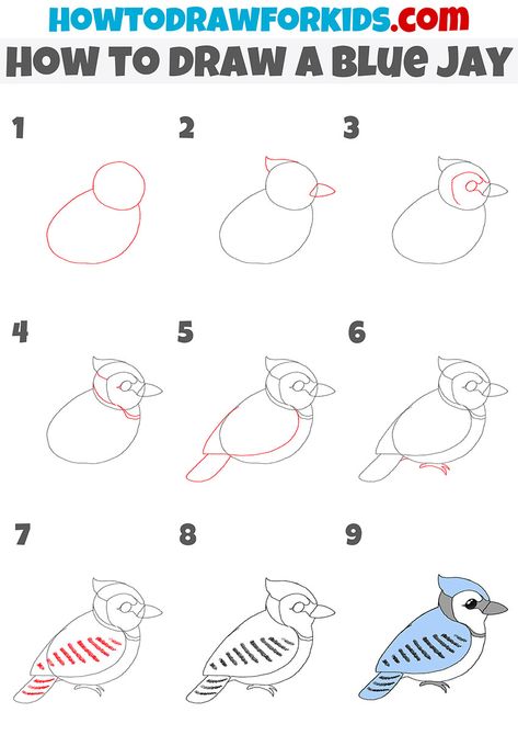 Blue Jay Craft, Blue Jay Drawing Easy, How To Draw A Blue Jay, How To Draw Birds Step By Step Simple, How To Draw A Bird Easy, How To Draw A Bird Step By Step, Blue Jay Drawing, Draw Birds, Easy Bird