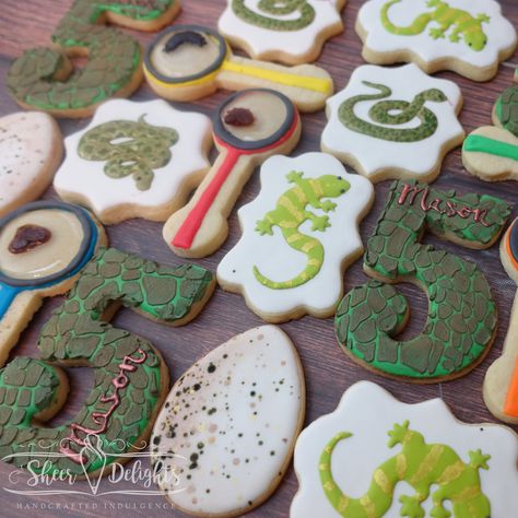 Reptile Explorer Birthday Cookies Reptile Birthday Cookies, Snake Cookies Decorated, Reptile Cookies, Sand Dollar Cookies, Explorer Birthday Party, Snake Party, Dragon Cookies, Dinosaur Cookies, Easter Bunny Cookies