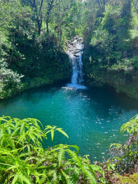 Tropical Waterfall Aesthetic, Pretty Waterfall Aesthetic, Waterfall Astethic, Hawaiian Waterfalls, Hawaii Astethic, Hawaii Rainforest, Waterfalls Aesthetic, Waterfall Tropical, Hawaii Forest