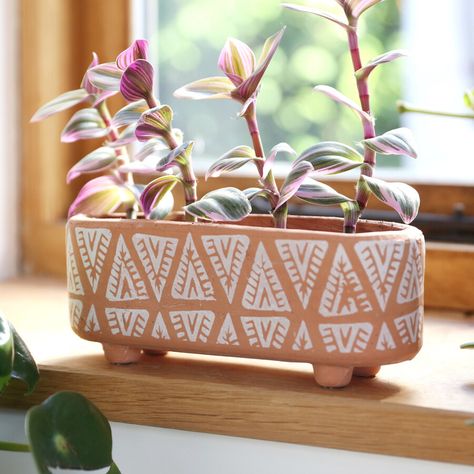 Pot a small selection of plants in this terracotta planter from Sass & Belle. Free Worldwide Delivery. (minimum send applies). Clay Plant Pots, Trough Planter, Plant Pot Design, Plant Pot Diy, Lisa Angel, Painted Pots Diy, Trough Planters, Clay Planters, Terracotta Clay