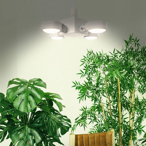 Grow Light Bulbs, Grow Lamps, Grow Lights For Plants, Led Grow Light, Light Emitting Diode, Direct Lighting, Plant Lighting, Optical Lens, Grow Light