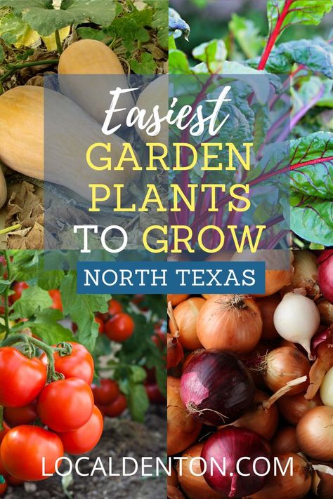 Home gardening is a stress-reducing activity that can bring joy into your life. Although planning a garden can take place any time of the year, right now is the perfect time to begin planning your garden this year if you want a head start. Vegtable Garden, Planning A Garden, Texas Native Plants, Raised Vegetable Gardens, Growing Bulbs, Rainbow Chard, Easy Vegetables To Grow, Easy Plants To Grow, Vegetable Garden Diy