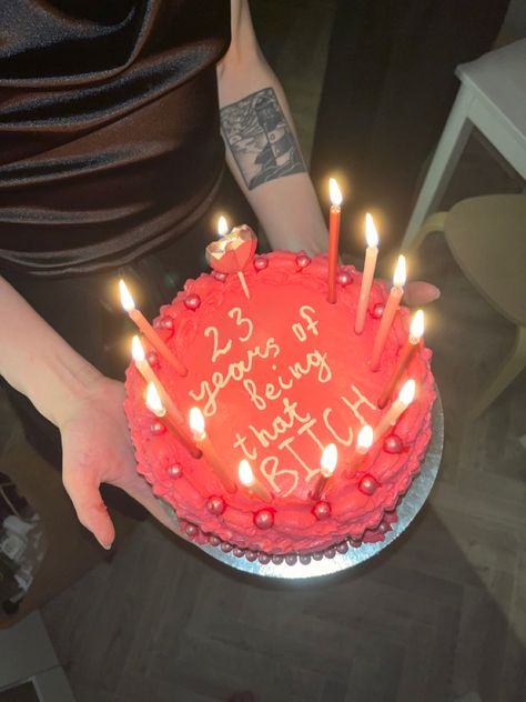 Birthday Cake Ideas Writing, Birthday Cakes Funny Woman, 23 Rd Birthday Cake, Cute 23rd Birthday Cakes, 23rd Bday Cake Ideas, 28th Birthday Ideas For Women Cake, Funny Birthday Cake Writing, 28th Birthday Cake Ideas For Women, Customized Cakes For Women