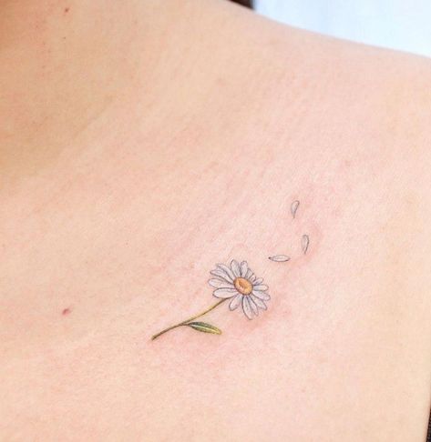 Daisy Losing Petals Tattoo, Daisy And Dandelion Tattoo, White Ink Daisy Tattoo, Rainbow Daisy Tattoo, Daisy Chest Tattoo, Daisy Collar Bone Tattoo, Tattoo Daisy Flower, Daisy Fine Line Tattoo, Petal Tattoos