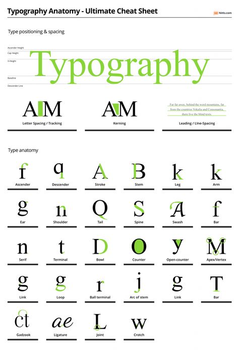 Letter Anatomy Typography, Typography Anatomy Poster, Typo Design Typography, Type Anatomy Poster, Typography Principles, Typeface Anatomy, Types Of Typography, Typography Display, Typography Specimen