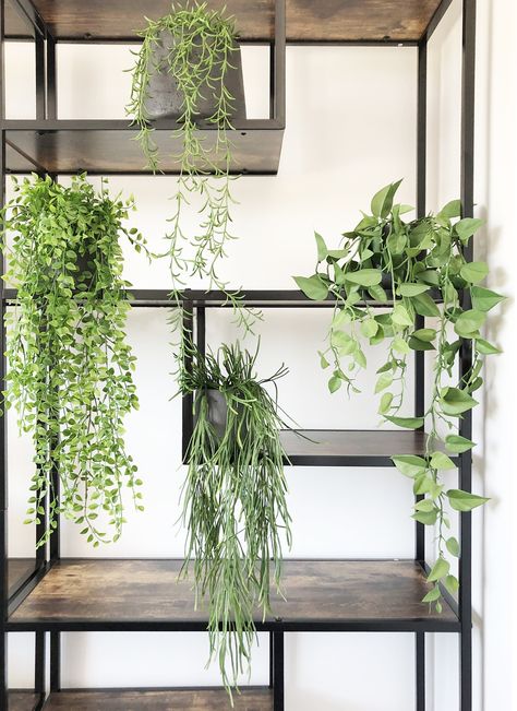 Faux trailing shelf plants by Artificial Green Trailing Philodendron, Decorate Shelves, Faux Plants Decor, Artificial Hanging Baskets, Potted Ferns, Fake Hanging Plants, Indoor Plant Wall, Plant Installation, Hanging Plant Wall