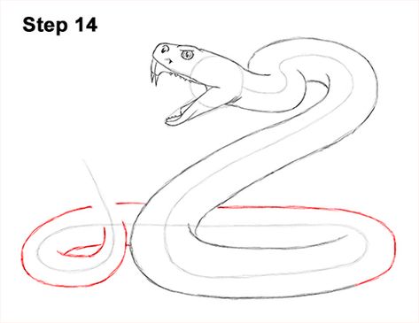 Snake Line Drawing, Rattlesnake Drawing, Snake Sketch, Diamondback Rattlesnake, Tattoo Snake, Drawing Instructions, Snake Drawing, Animal Art Projects, Snake Art