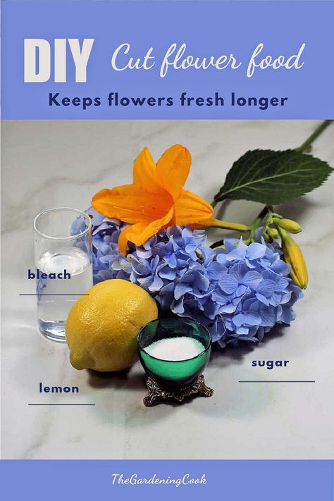 This DIY cut flowers food formula is inexpensive to make. It will make your flowers last longer and is quick to prepare. Don't put up with droopy flowers! How To Make Flowers Last Longer, Droopy Flowers, Homemade Flower Food, Cut Flower Food, Cut Garden, Flowers Last Longer, Carnation Flower, Better Homes And Garden, Flower Names