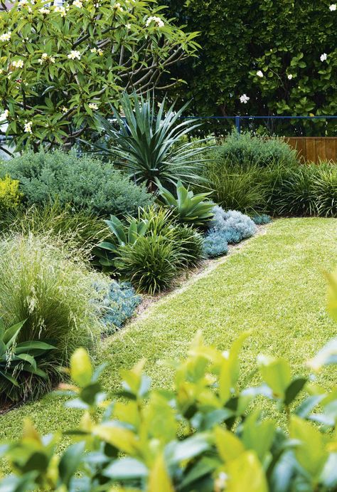 Coastal meets Australian bushland in this Sydney garden Modern Coastal Garden Australia, Coastal Tropical Garden, Coastal Gardens Australia, Californian Bungalow Exterior Australia, Australian Tropical Garden, Backyard Australia, Island Landscaping, Japanese Maple Tree Landscape, Boat Planter