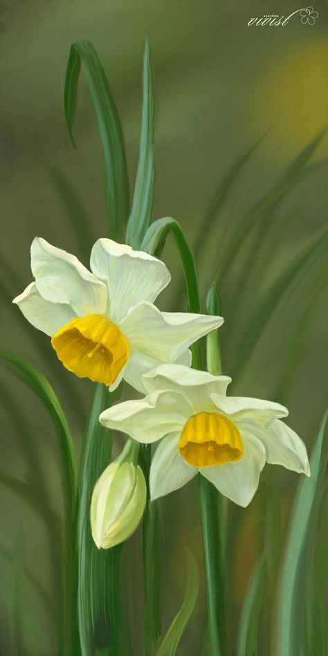 Daffodil Photography, Plants For Planters, Daffodil Images, Garden Nails, Garden Tattoo, Narcissus Flower, Acrylic Art Projects, Beautiful Flowers Images, Daffodil Bulbs