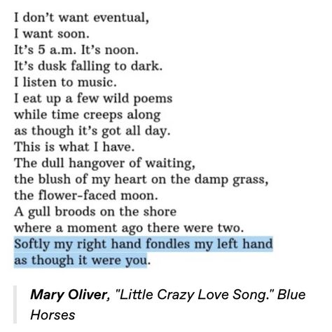 Horse Poems, Weird Songs, Mary Oliver, Blue Horse, Crazy Love, Love Blue, Writing Quotes, I Can Relate, Listening To Music