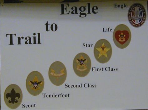 Trail to Eagle Eagle Scout Cake, Eagle Ceremony, Eagle Scout Court Of Honor, Boy Scout Badges, Boy Scouts Eagle, Eagle Scout Ceremony, Court Of Honor, Scouts Bsa, Eagle Project