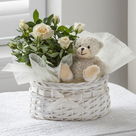 Baby Hamper Ideas Gift Baskets, Plant Gift Basket, Baby Flower Bouquet, Baby Boy Flowers, Teddy Bear Basket, 1st Birthday Boy Gifts, Bucket Gifts, Baby Bouquet