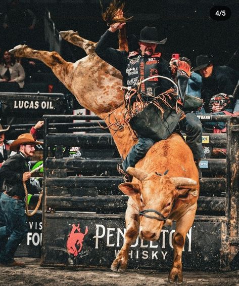 Dear Rodeo, Barrel Racing Photography, Rodeo Aesthetic, Rodeo Photography, Pbr Bull Riding, Country Guys, Skull Quote, Bucking Bulls, Bronc Riding