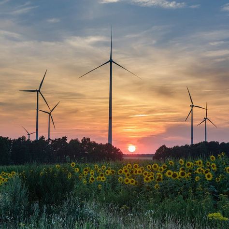 Types Of Renewable Energy, Gorgeous Landscapes, Renewable Energy Resources, Wind Turbine Generator, Jean Nouvel, Paint Photography, Wind Turbines, Wind Farm, Gouache Art