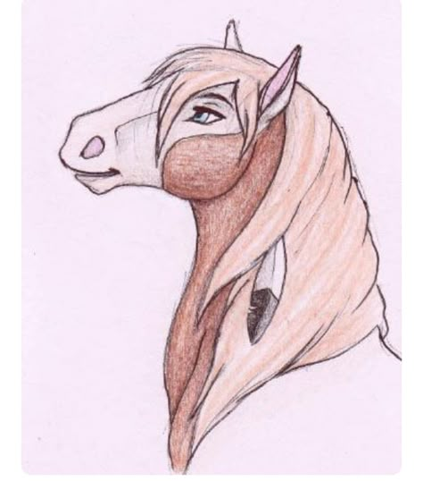 Easy Horse Drawing, Spirit Horse Movie, Fox Sketch, Spirit The Horse, Horse Art Drawing, Horse Sketch, Watercolor Horse, Horse Drawing, Horse Drawings