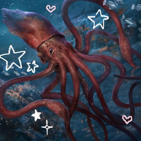 Marine Life Pfp, Cephalopod Wallpaper, Squid Aesthetic, Ocean Icons, Squid Drawing, Cute Squid, Cool Sea Creatures, Cute Sea Animals, Vampire Squid