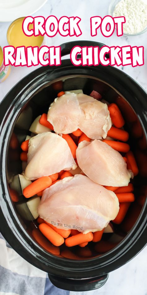 Ranch Chicken Crockpot, Summer Crockpot Recipes, Chicken Crockpot Recipes Easy, Easy Crockpot Dinners, Creamy Ranch, Dinner Recipes Healthy, Crockpot Dishes, Chicken Slow Cooker Recipes, Ranch Chicken