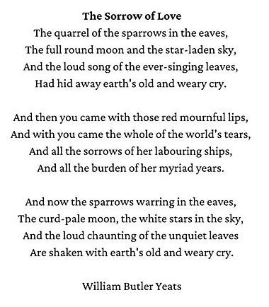 19th Century Poetry, Yeats Poems, Theory Of Life, Fav Poetry, W B Yeats, Poetry Slam, Pale Moon, William Butler Yeats, Poet Quotes