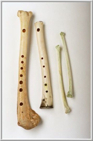 instrements made from bones - Ecosia - Images Medieval Music, Diy Instruments, Native American Flute, Bone Crafts, Folk Instruments, Bone Art, Bone Carving, Ancient History, Archaeology