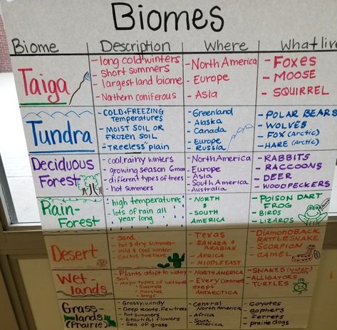 Biomes Anchor Chart, Biome Anchor Chart, Life Science Anchor Charts, Ecosystem Anchor Chart, Ecosystem Notes, Tundra Project, Montessori Space, Science Lessons Middle School, Earth Science Lessons