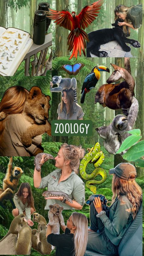 Just a bunch of pictures with cute animals and zoology Zoology Aesthetic Notes, Zoologist Career, Zoology Career, Luxury Horse Barns, Biology Jobs, Environmental Scientist, Wildlife Biologist, Conservation Biology, Vet Medicine