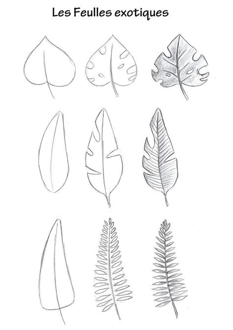 Different Leaf Drawings, Botanical Sketches Simple, Leaves Drawing Sketches, Simple Leaves Drawing, How To Draw Leaves, Foliage Drawing, Leaf Lessons, Leaf Sketch, Drawing Plants