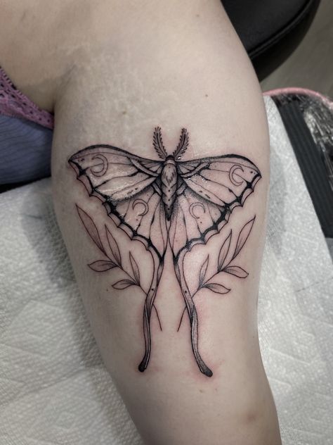 Fine Line Moth Tattoo, Lunar Moth Tattoo Design, Moth Garden, Witchy Botanical, Lunar Moth Tattoo, Luna Moth Tattoo, Tattoos Abstract, Moth Tattoo Design, Carpe Noctem