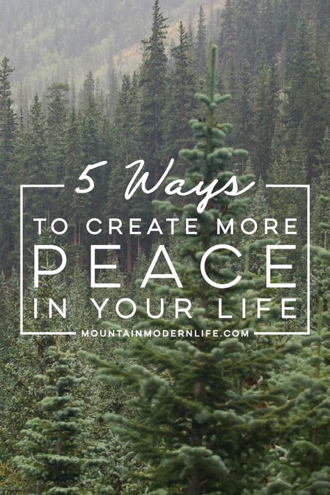 Looking for ways to create more peace in your life? Here are 5 tips to help guide you along the way. #peace #mindfullness #meditation via @MtnModernLife Womens Circle, Instant Face Lift, Lakeside Cabin, Go Glamping, Peaceful Living, Camper Renovation, Mountain Modern, Study Tools, Peaceful Life