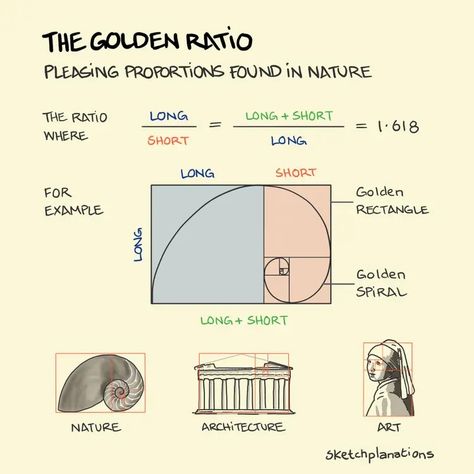 The golden ratio - Sketchplanations How To Draw Golden Ratio, Golden Ratio Aesthetic, Golden Ratio Drawing, Golden Ratio Examples, Golden Ratio Architecture, Golden Ratio In Nature, Pagan Temple, Golden Ratio Art, Golden Proportion