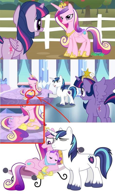 should cadence and shining armour have a foal in season 5? Shining Armour My Little Pony, Human Princess Cadence, Cadence And Shining Armor, Cadence Mlp, Princess Cadence, Mlp Funny, My Little Pony Princess, My Little Pony Wallpaper, Lion King Art