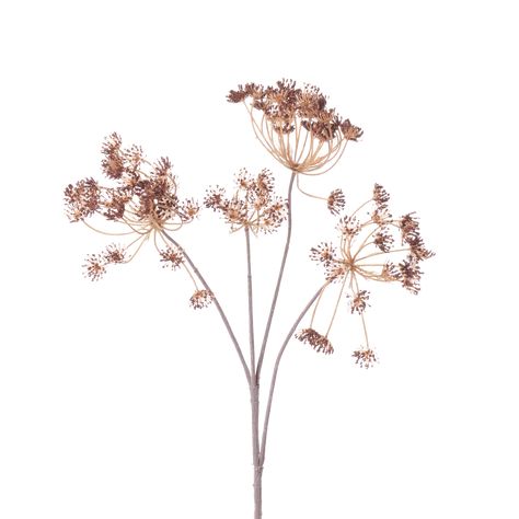 Bringing plants into the home isn’t all about flowers and leaves. This stem is based on the dried, autumn form of Queen Anne’s Lace, and will give your arrangements a completely different texture and more depth. This is also a stem you can choose if you want a sculptural piece to use on its own. Pruning Shrubs, Queen Anne's Lace, Queen Annes Lace, Spring Makeup, Body Makeup, Different Textures, Queen Anne, Flowers And Leaves, Real Flowers