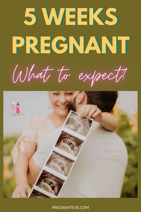 6 Weeks Pregnant, 5 Weeks Pregnant, Pregnancy Due Date, Missed Period, Pregnancy Vitamins, Hcg Levels, Pregnant Baby, Pregnancy Hormones, Pregnancy Guide